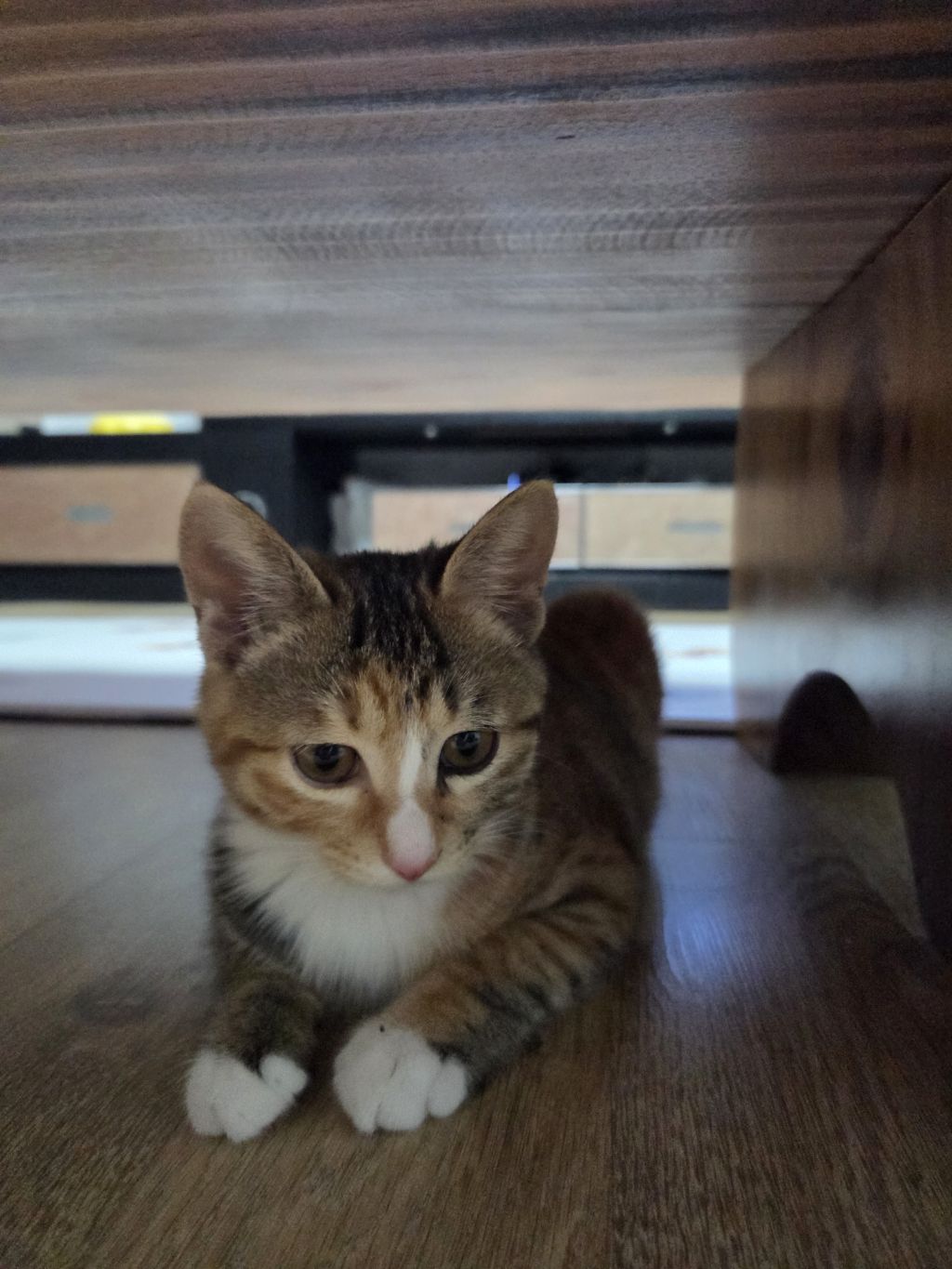 게시글 대표 이미지