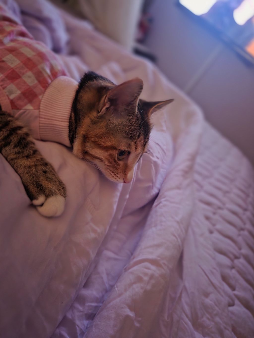 게시글 대표 이미지