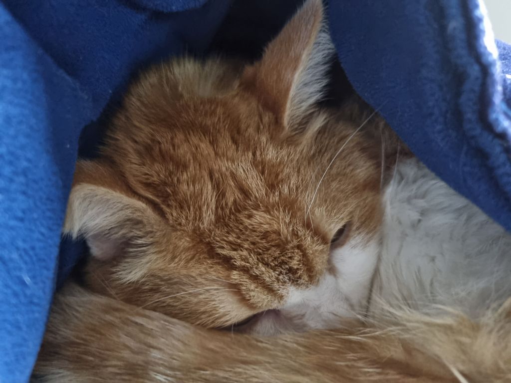 게시글 대표 이미지