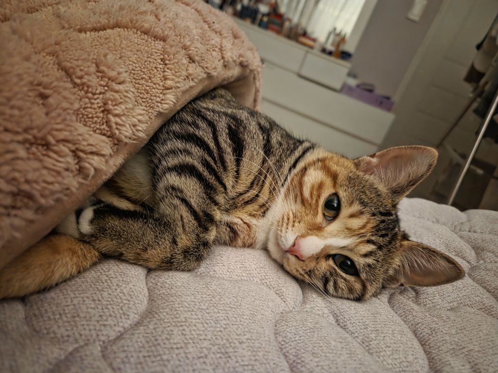 게시글 대표 이미지