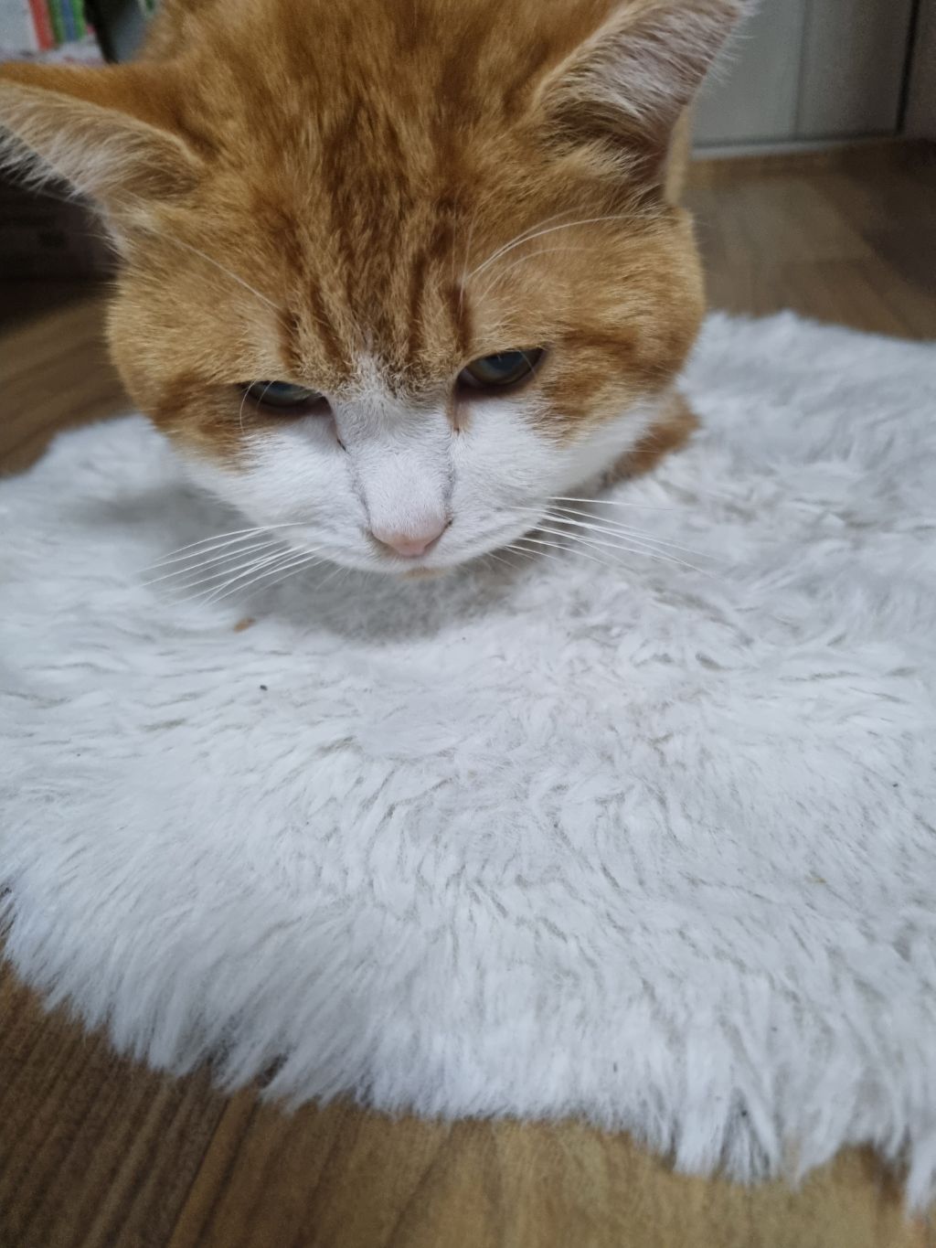 게시글 대표 이미지