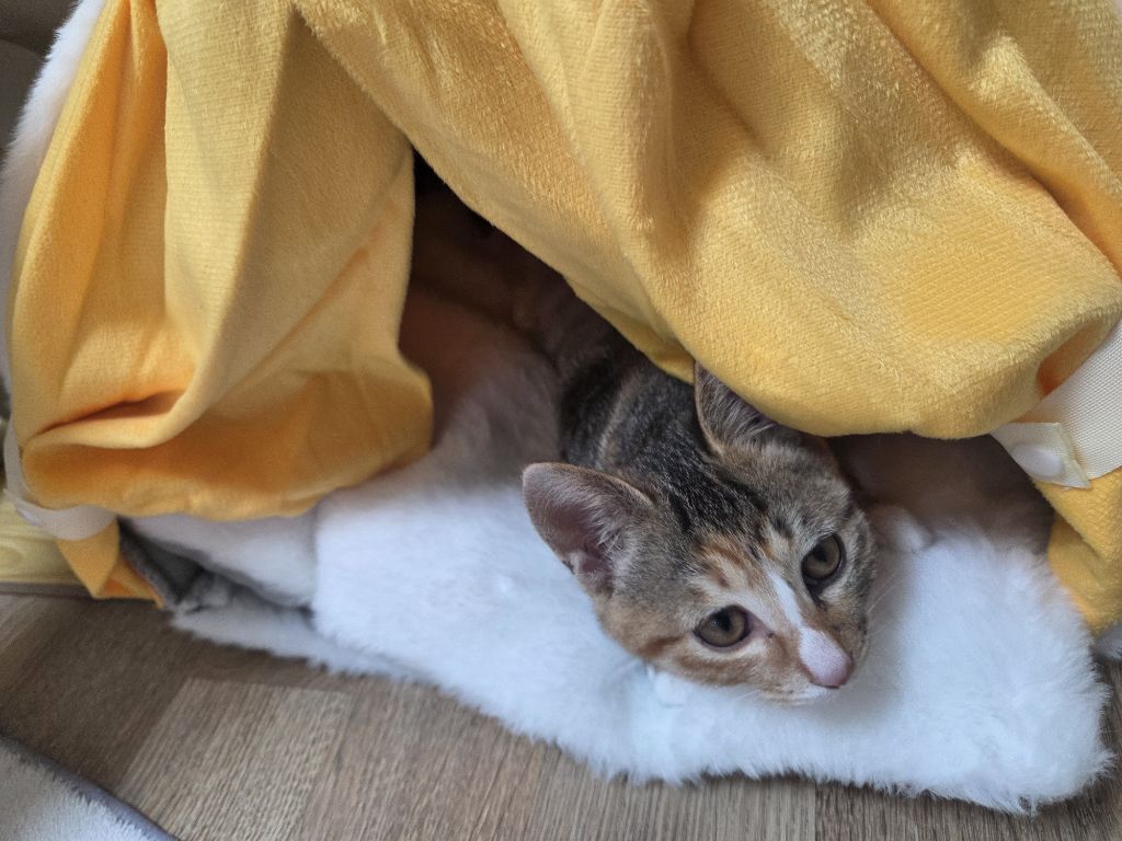 게시글 대표 이미지