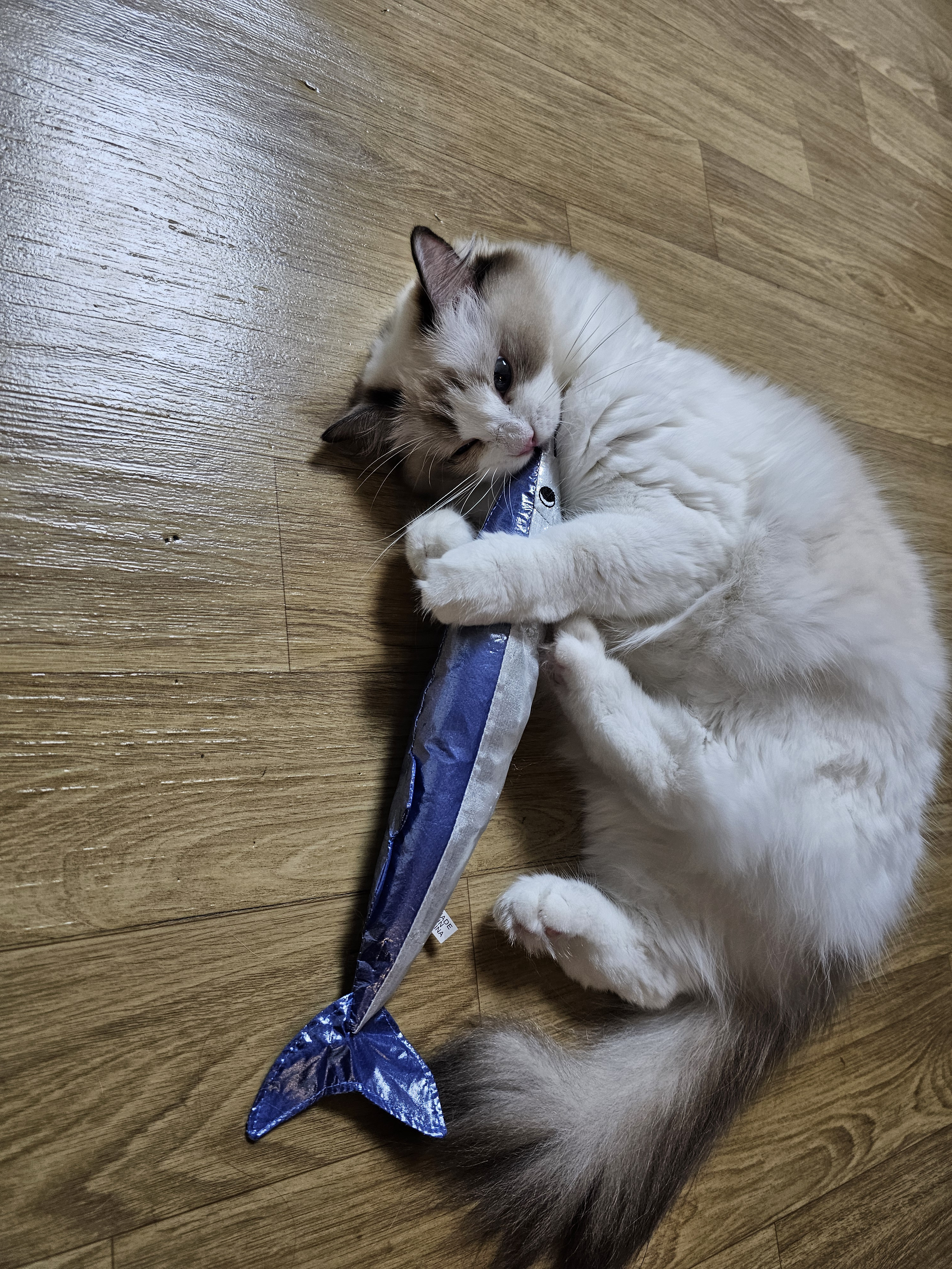 대표이미지