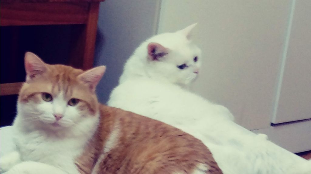 게시글 대표 이미지