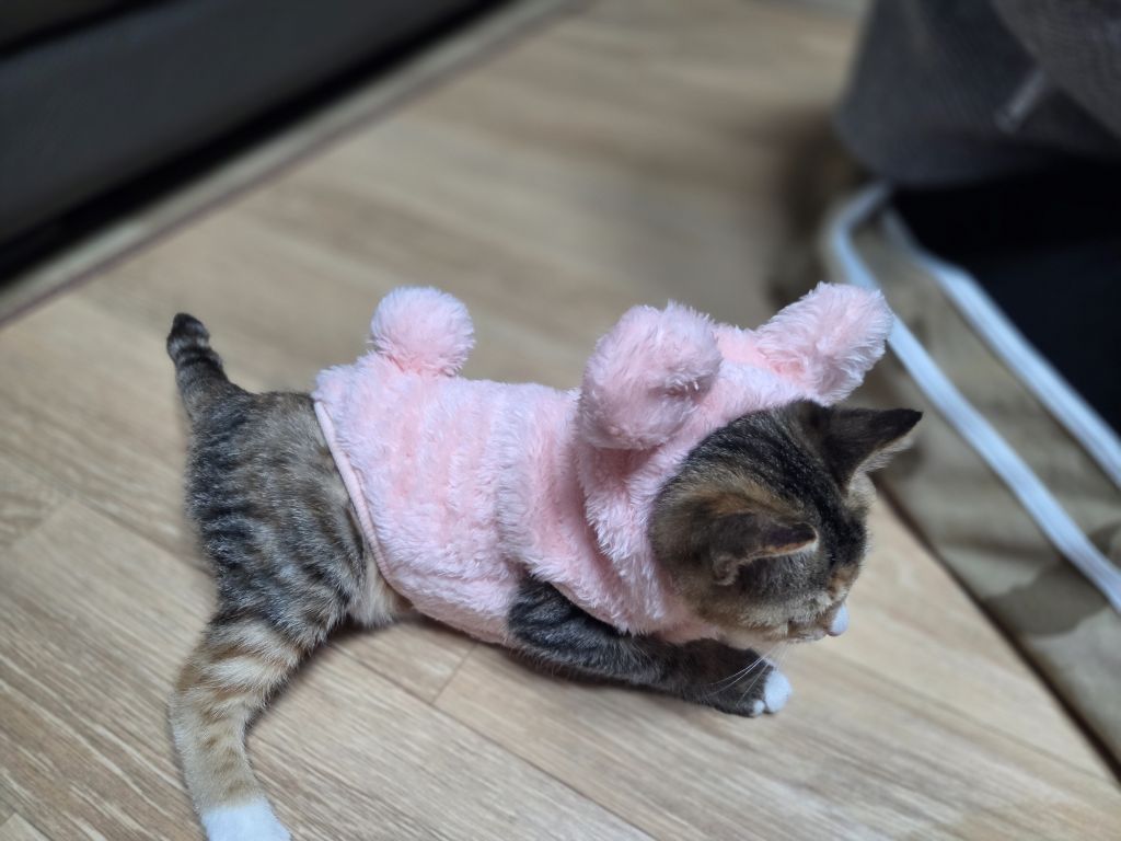 게시글 대표 이미지