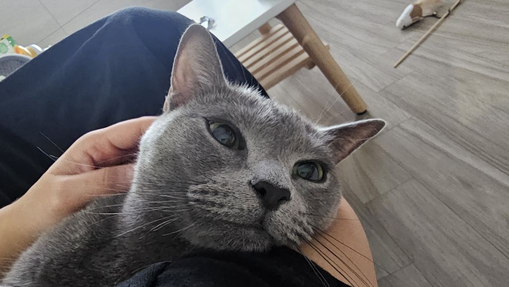 게시글 대표 이미지