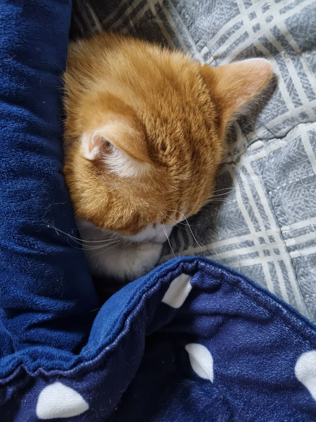 게시글 대표 이미지