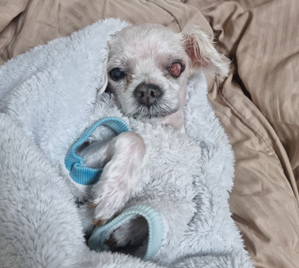 게시글 대표 이미지