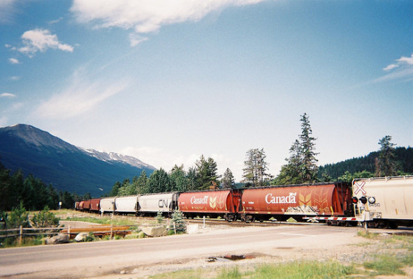 게시글 대표 이미지