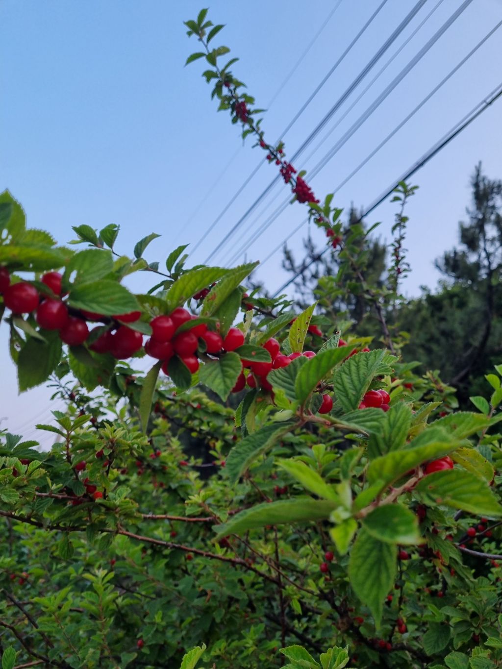 게시글 대표 이미지