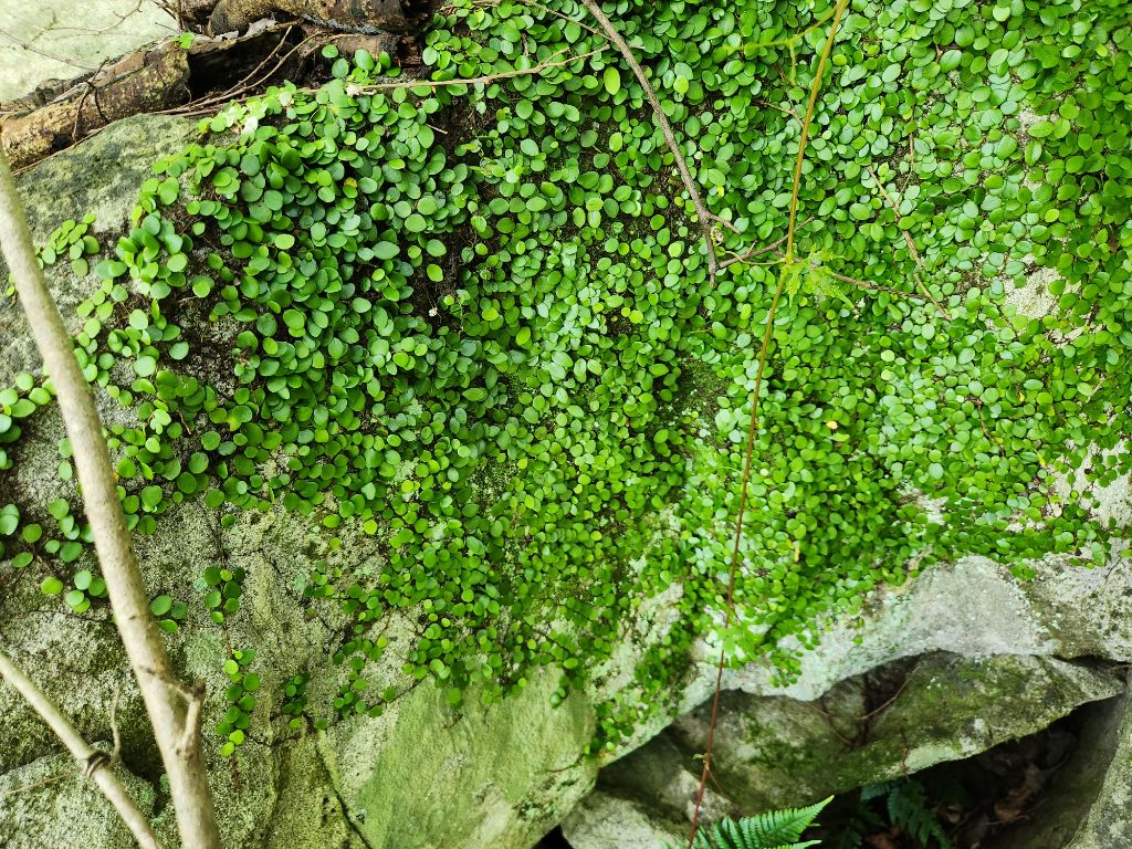 게시글 대표 이미지