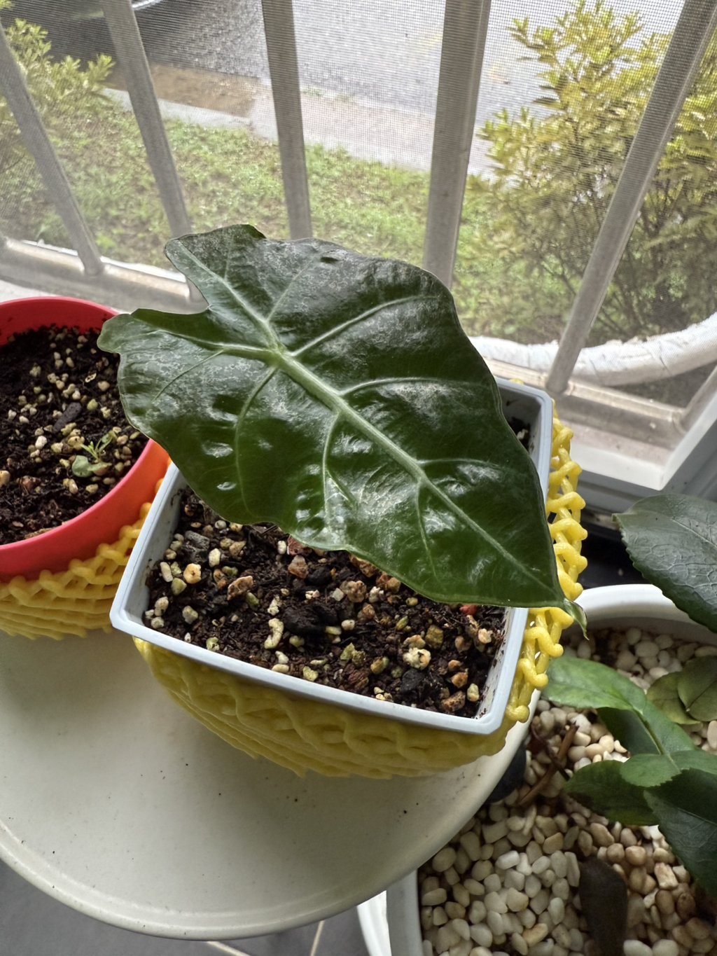 게시글 대표 이미지