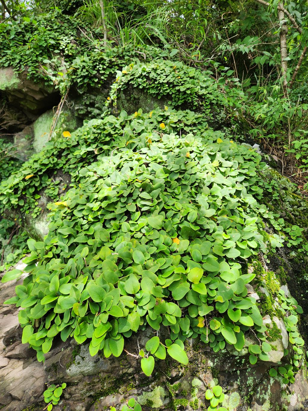 게시글 대표 이미지