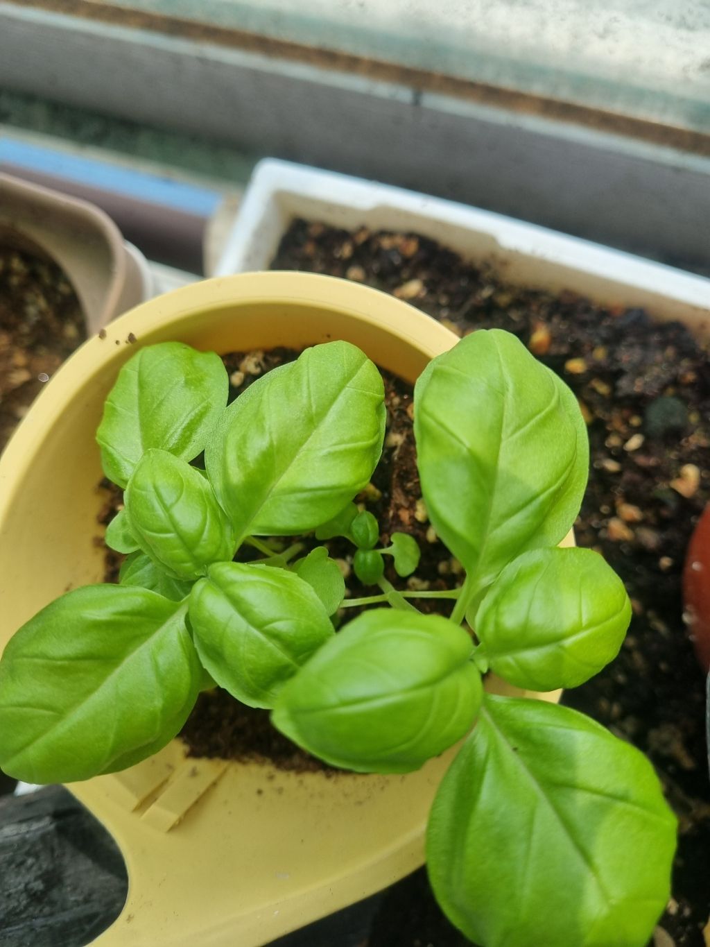 게시글 대표 이미지