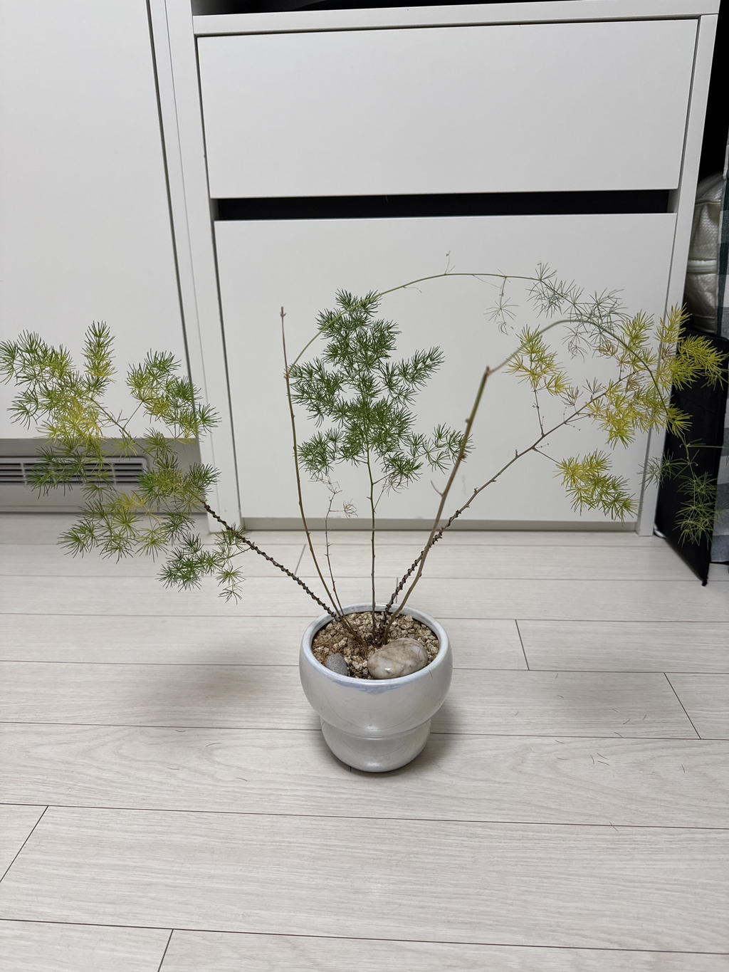 게시글 대표 이미지