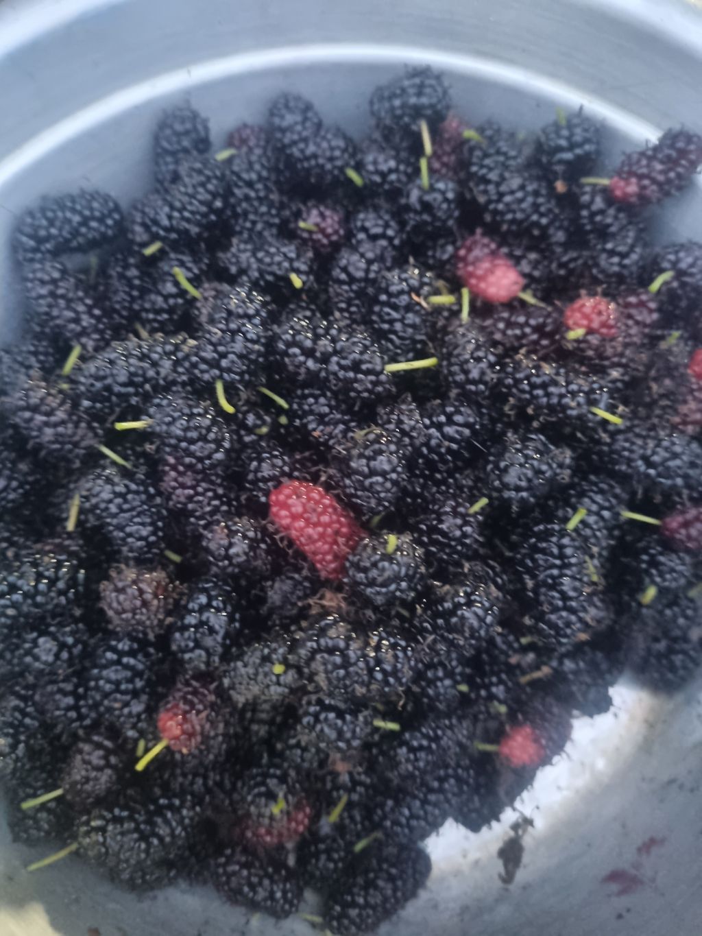 게시글 대표 이미지