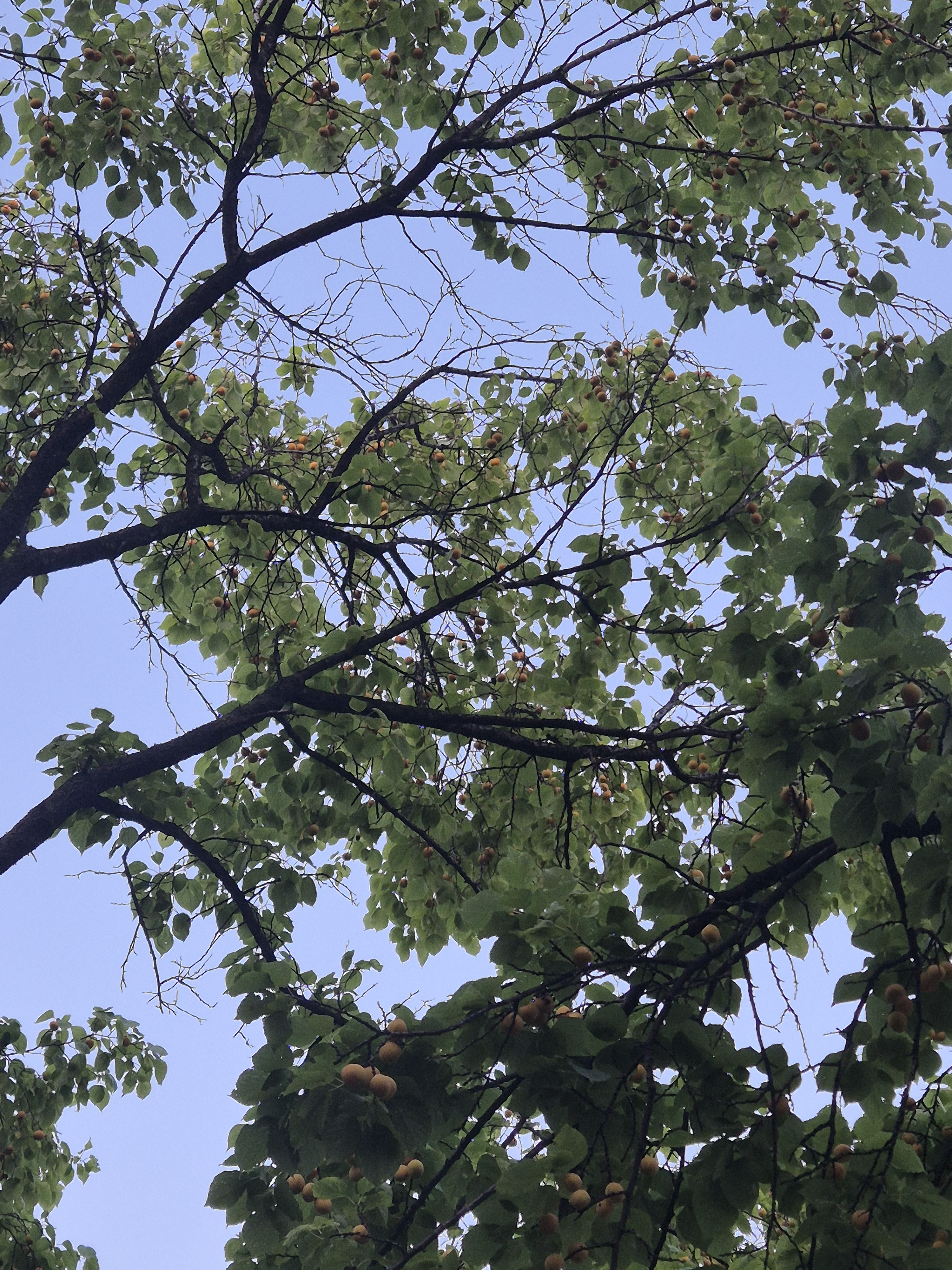 게시글 대표 이미지