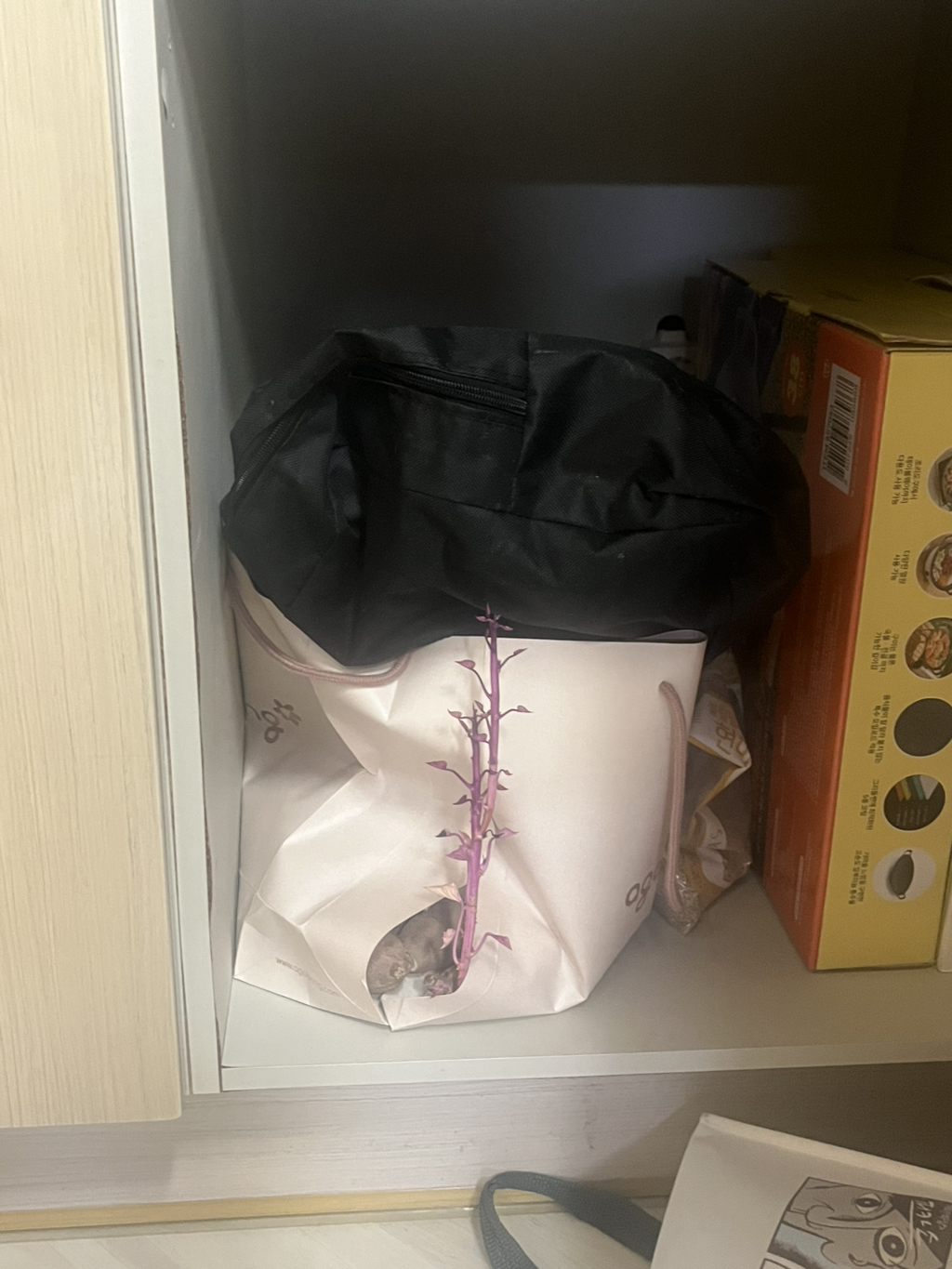 게시글 대표 이미지