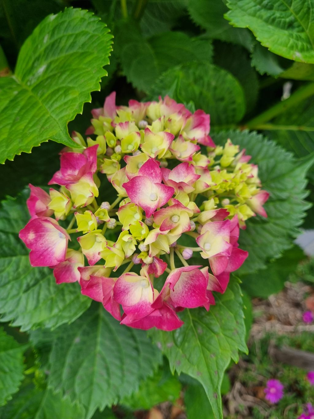 게시글 대표 이미지