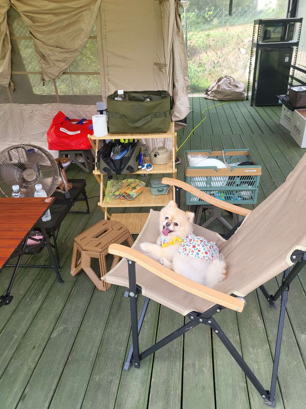 게시글 대표 이미지