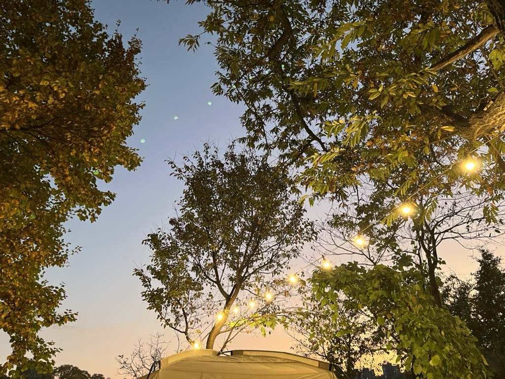 게시글 대표 이미지