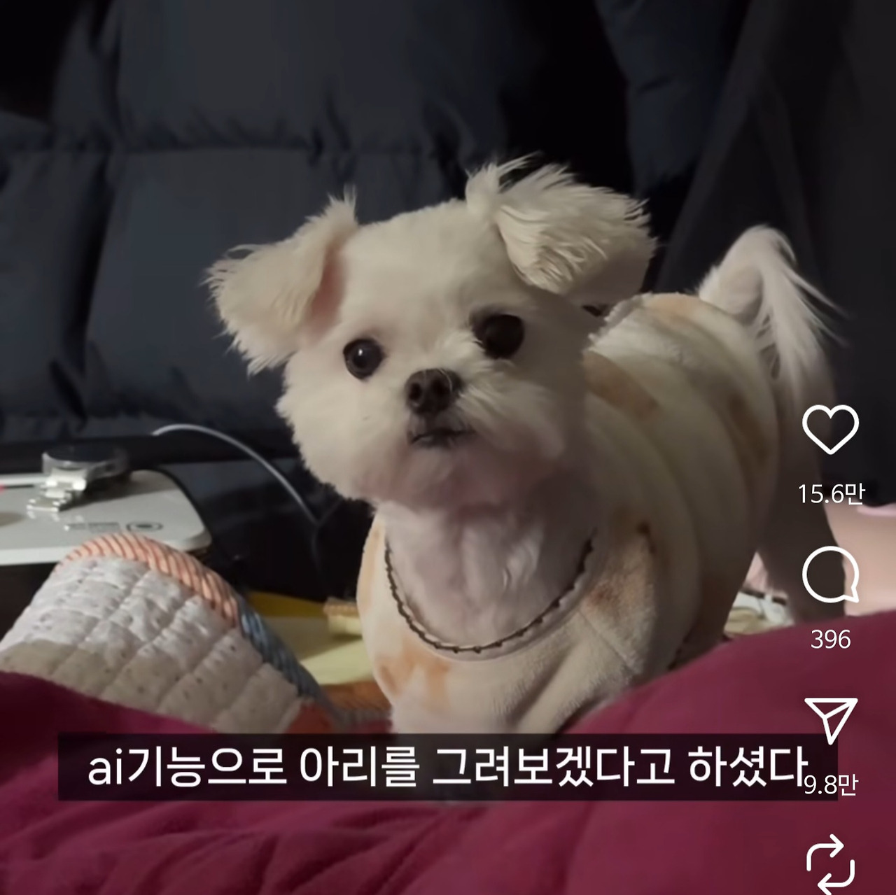 게시글 대표 이미지