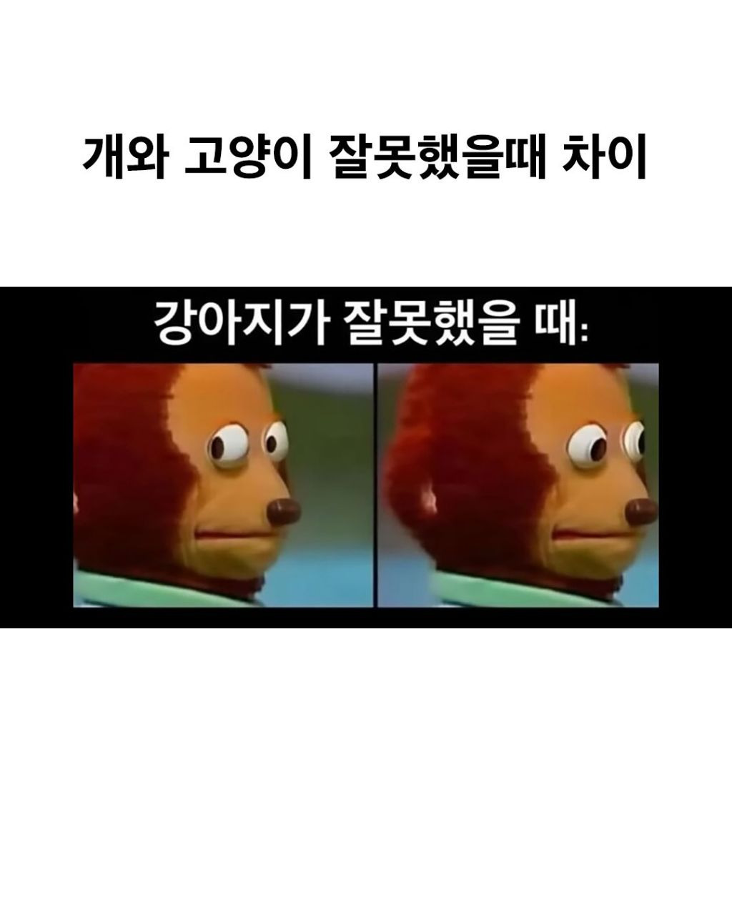 게시글 대표 이미지