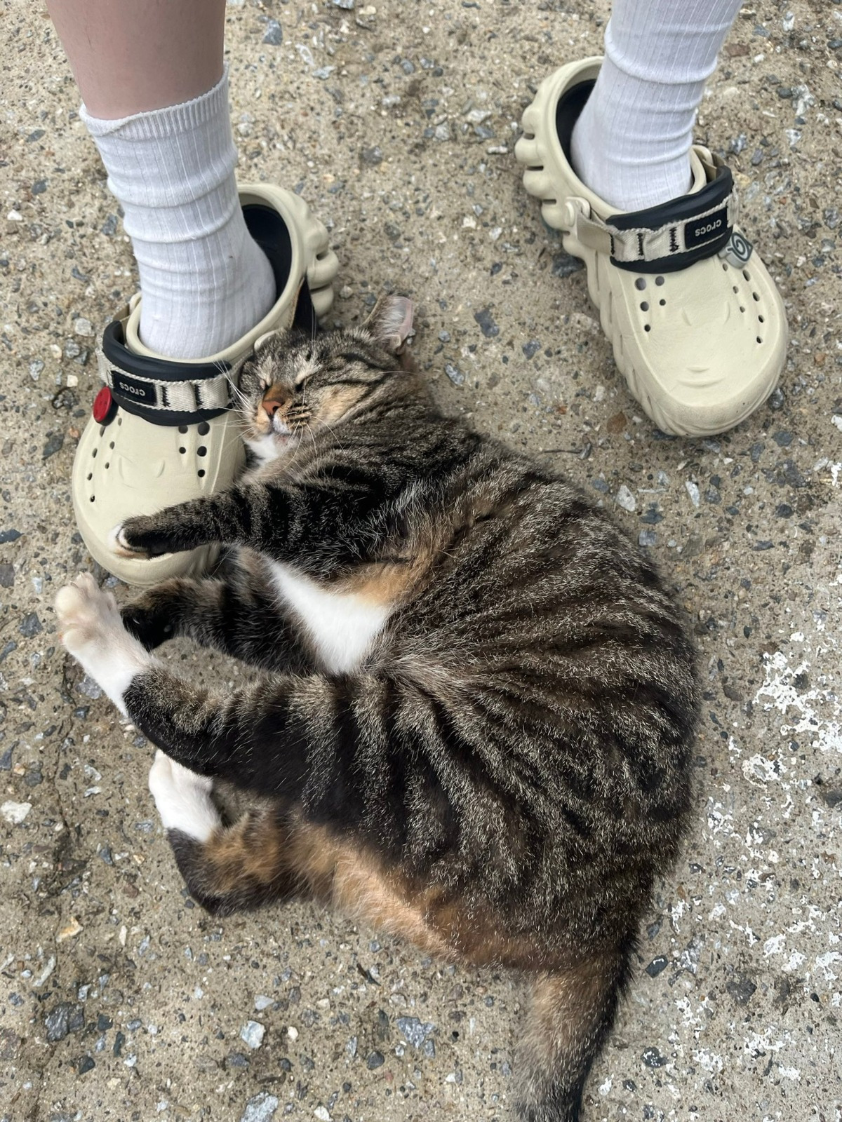 게시글 대표 이미지