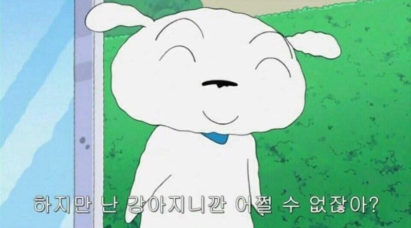 게시글 대표 이미지