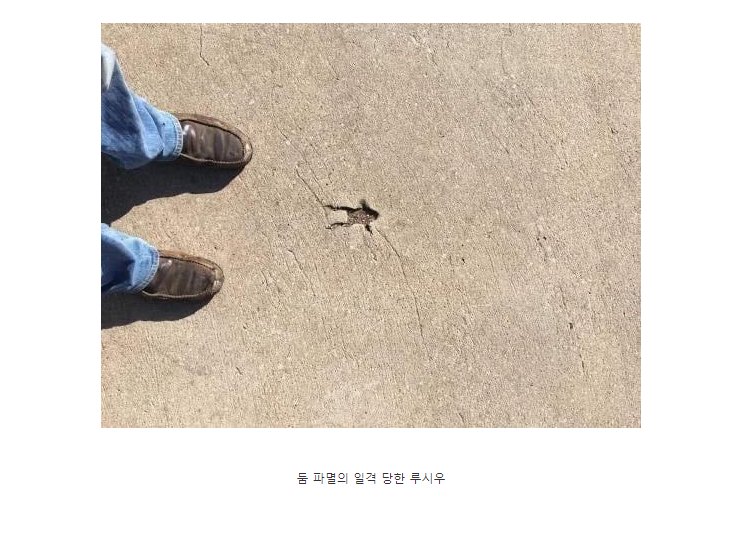 게시글 대표 이미지