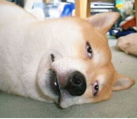 게시글 대표 이미지