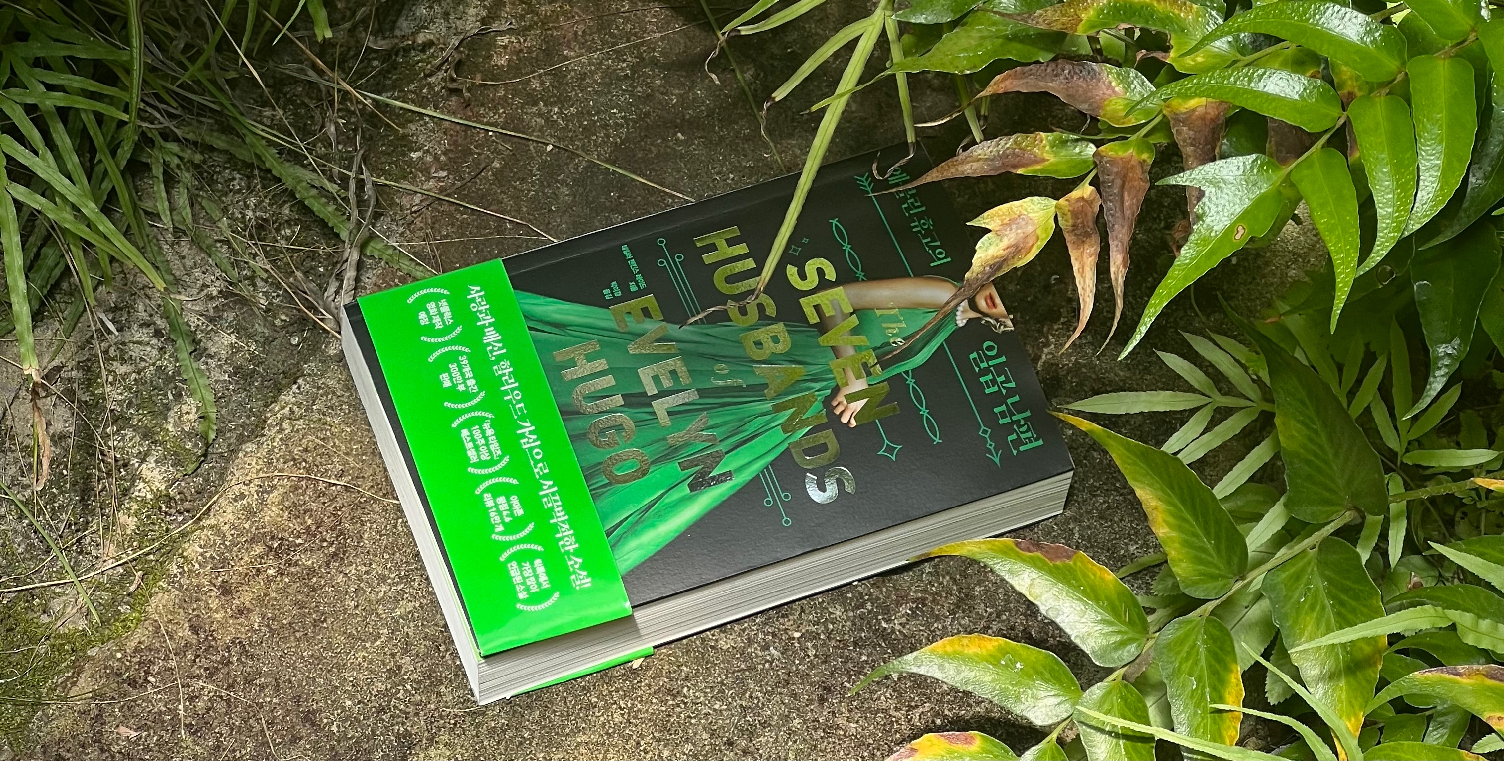 게시글 대표 이미지