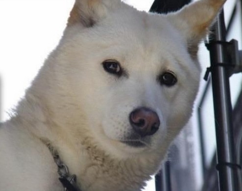 게시글 대표 이미지