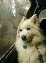 게시글 대표 이미지