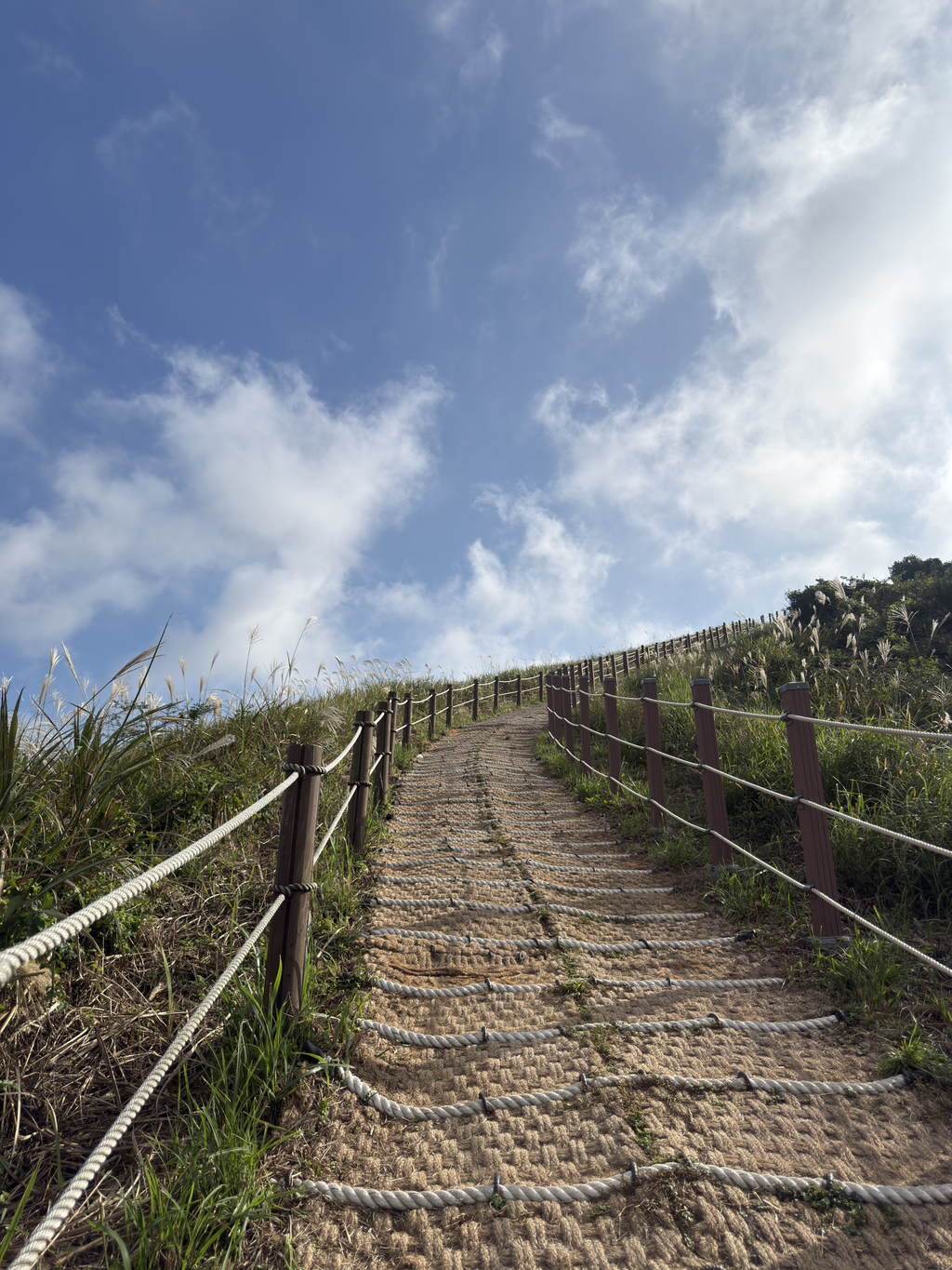 게시글 대표 이미지