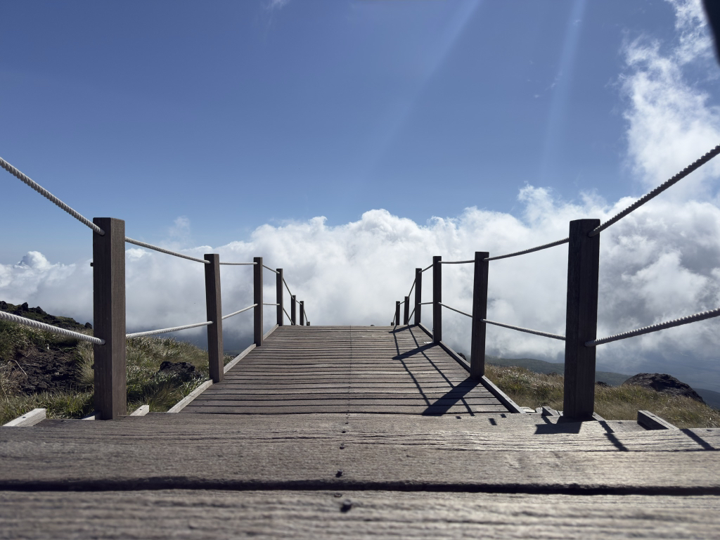 게시글 대표 이미지