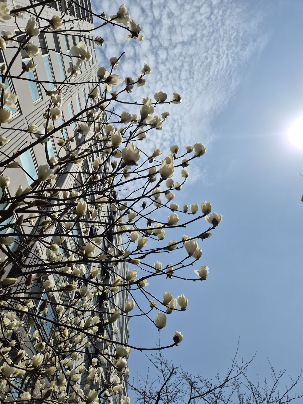 게시글 대표 이미지