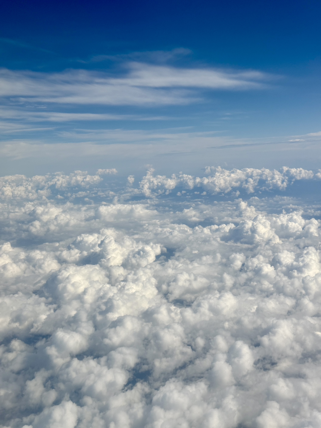 게시글 대표 이미지
