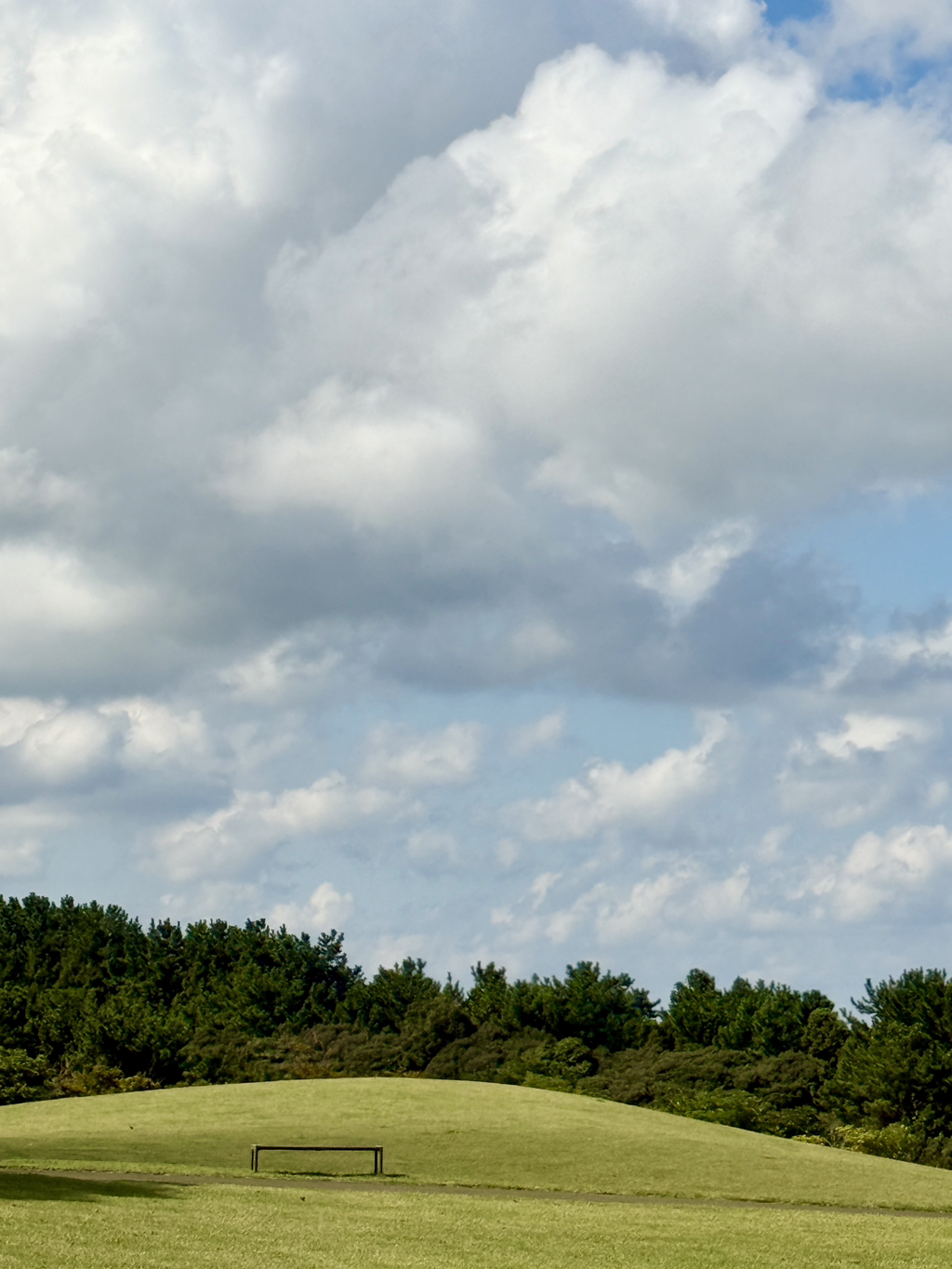 게시글 대표 이미지
