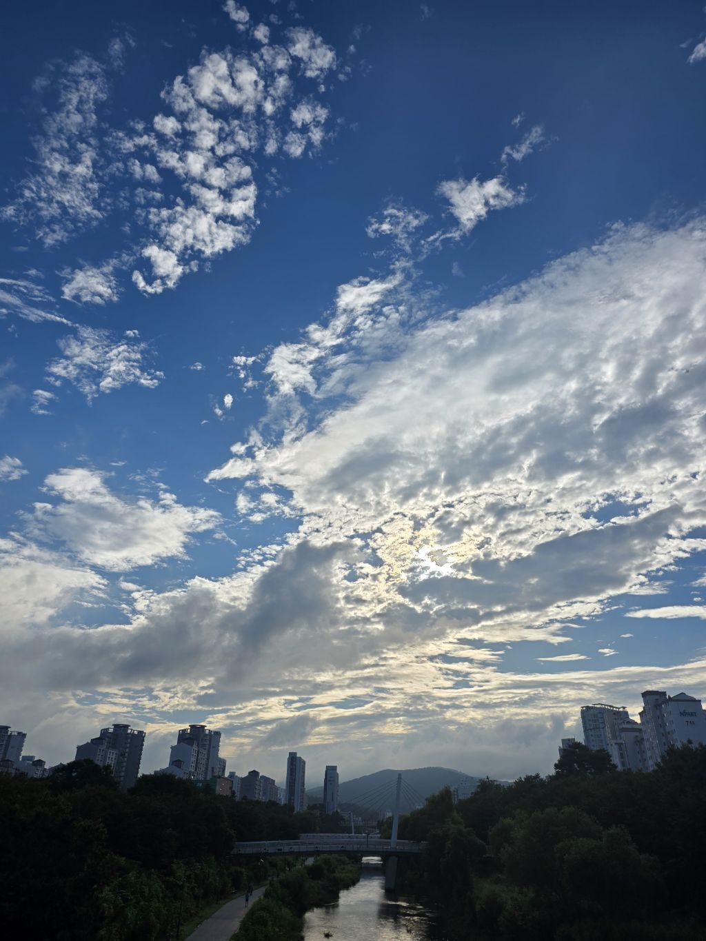 게시글 대표 이미지