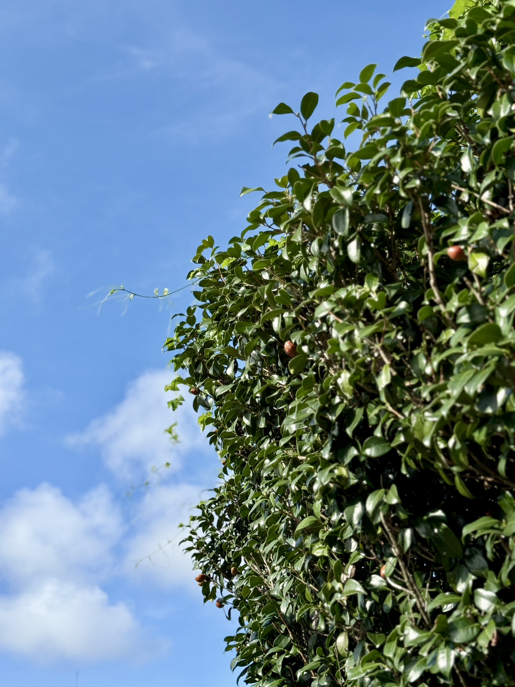 게시글 대표 이미지