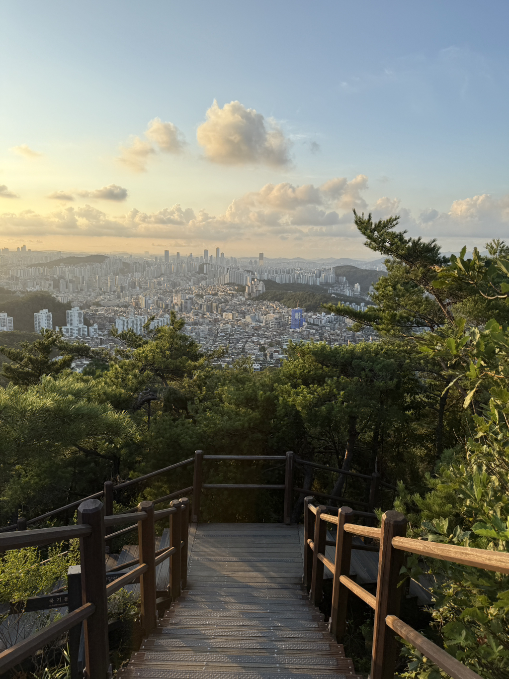 게시글 대표 이미지