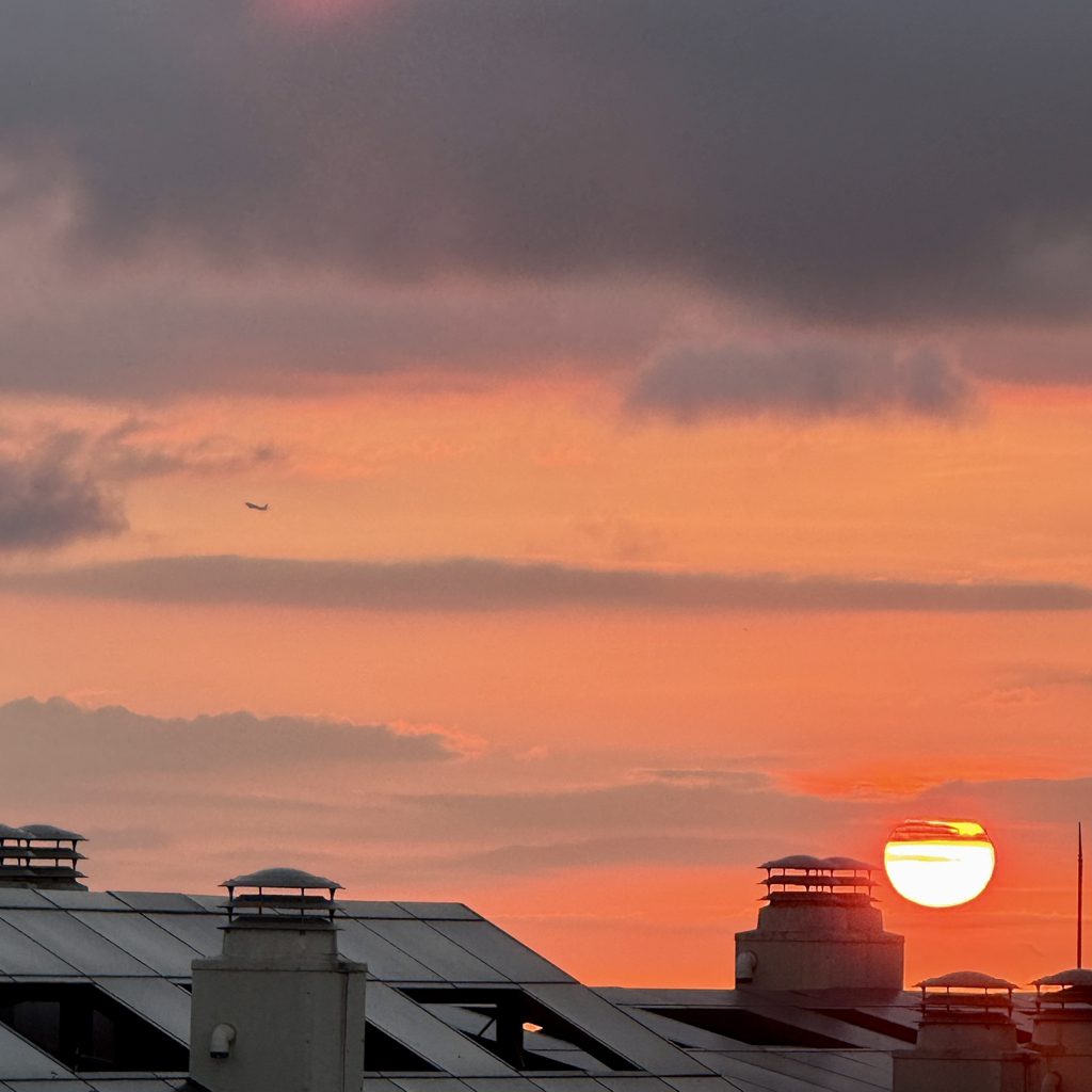 게시글 대표 이미지