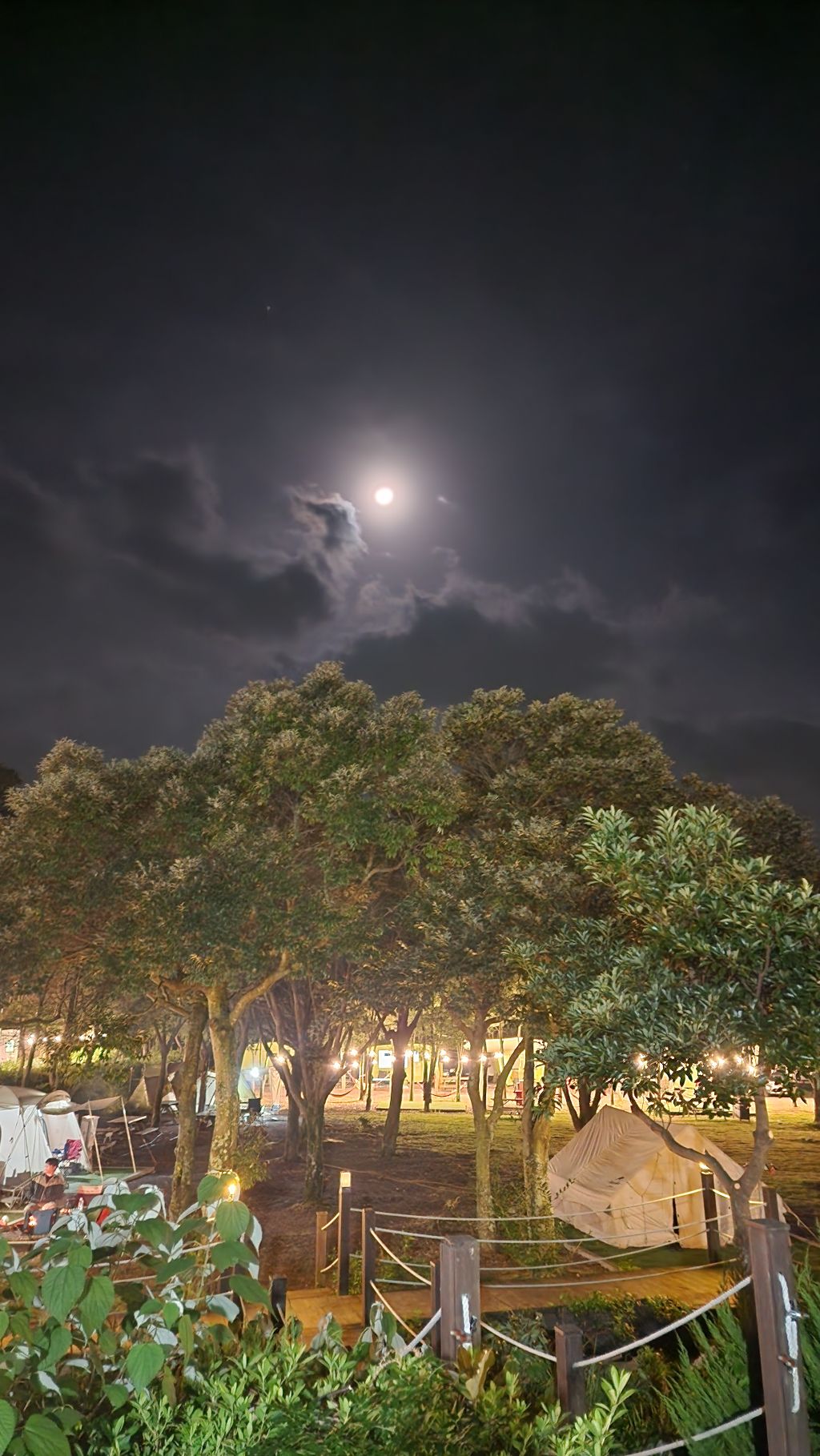 게시글 대표 이미지