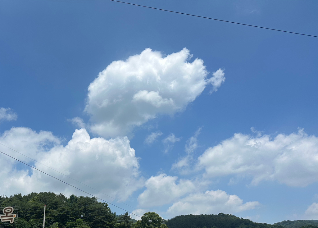 대표이미지