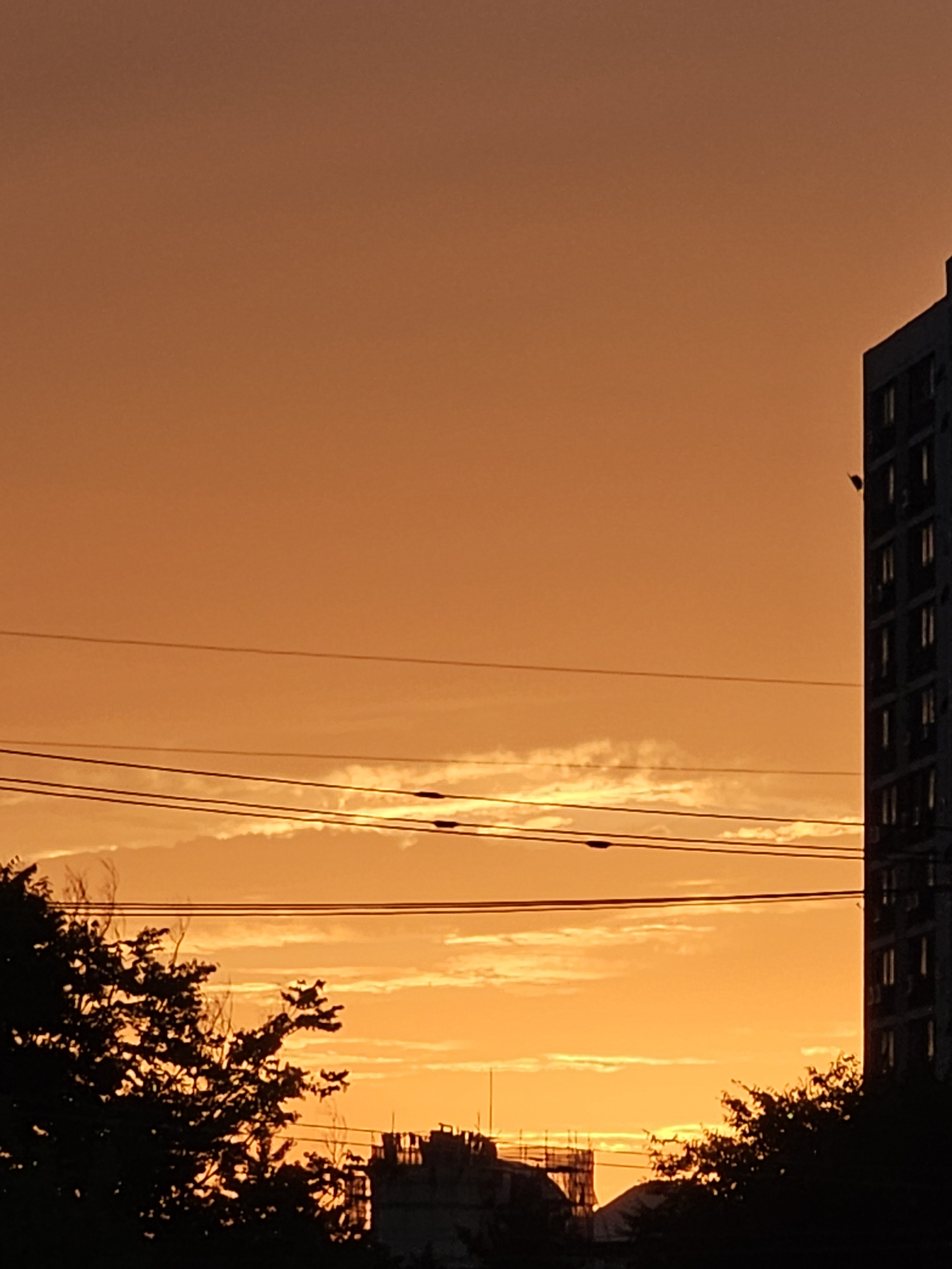 게시글 대표 이미지