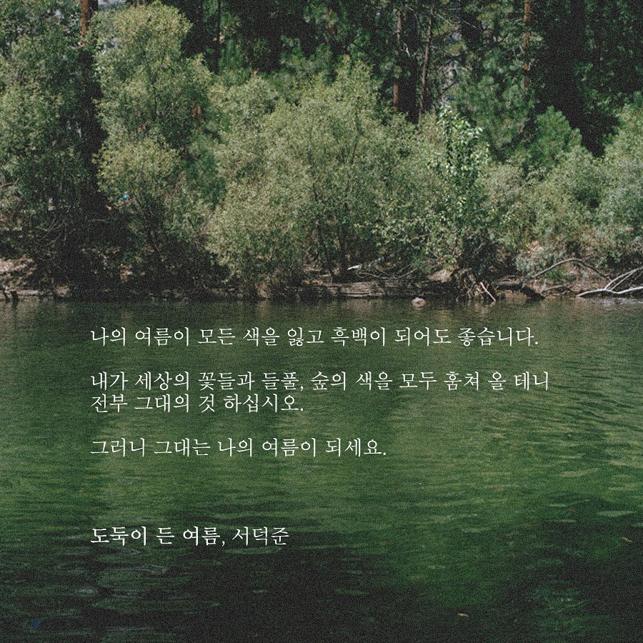대표이미지
