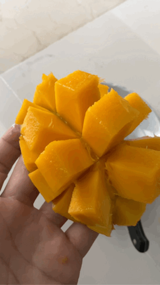 게시글 대표 이미지