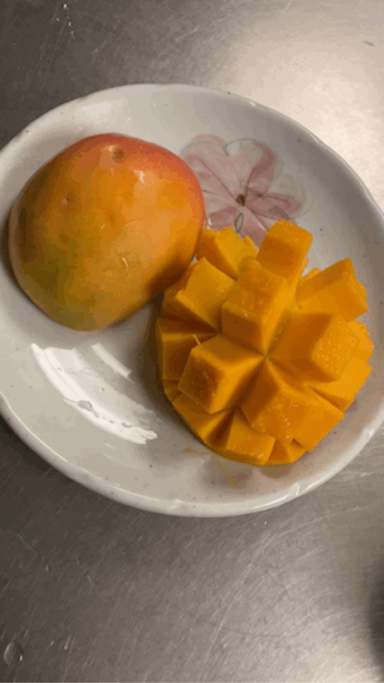 게시글 대표 이미지