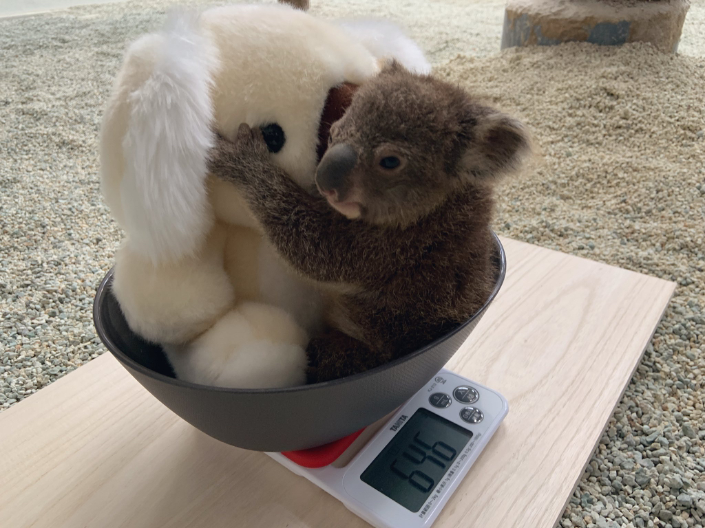 대표이미지